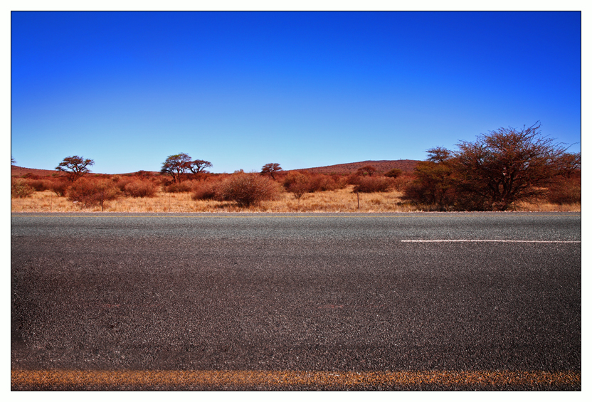 Kalahari Desert (3)