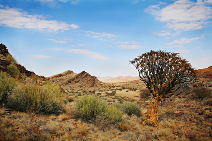 Kalahari Desert (4)