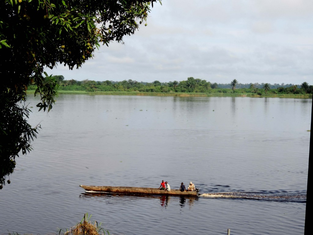 Congo River (4)