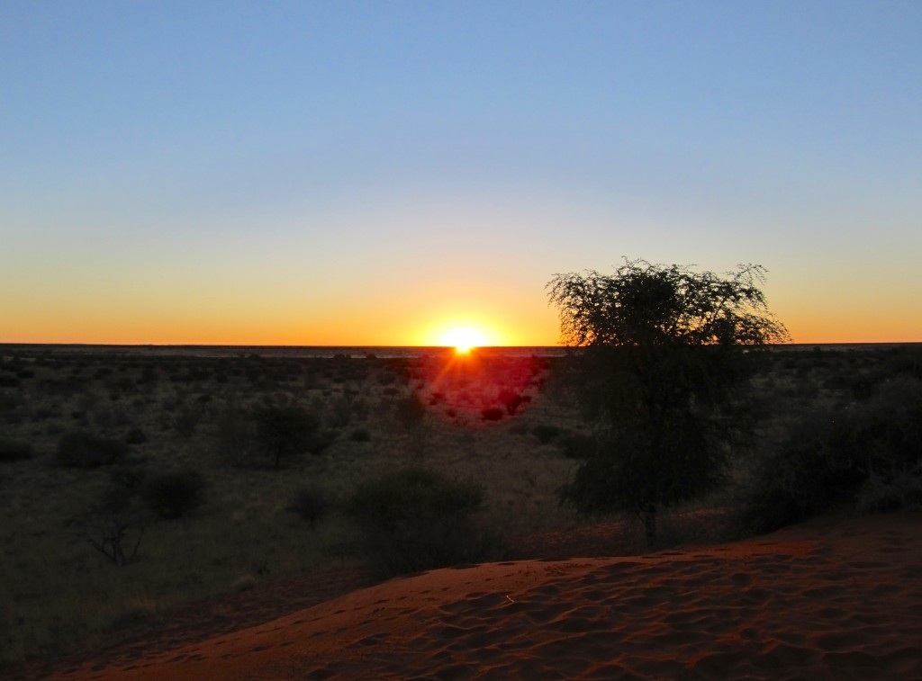 Kalahari Desert (2)